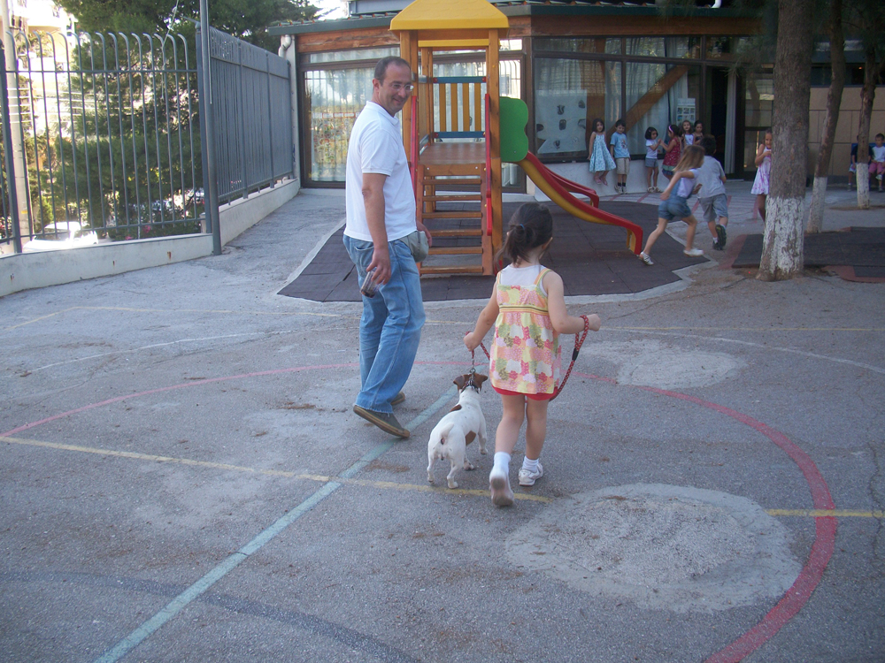 animal-assisted-activities-therapies